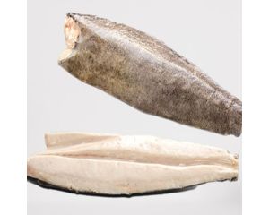 OIL FISH