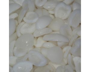 SEA COCONUT MEAT