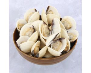 WHITE CLAM