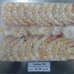 SEA WHITE SHRIMP - WILD CAUGHT