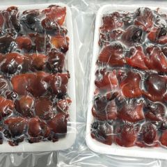 BLOOD CLAM, BLOOD ARK
