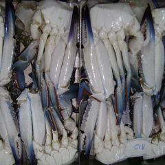 WHOLE & HAFT-CUT SWIMMING CRAB