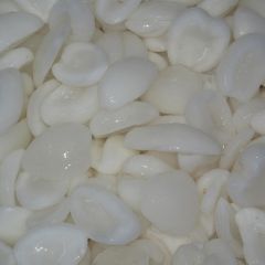 SEA COCONUT MEAT