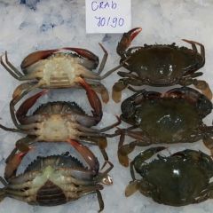 SOFT SHELL CRAB