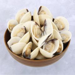 WHITE CLAM