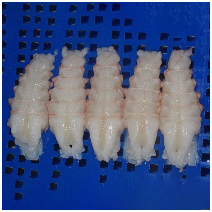 Slipper lobster tails near me clearance