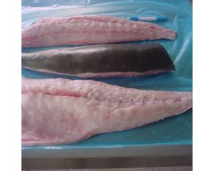 COBIA